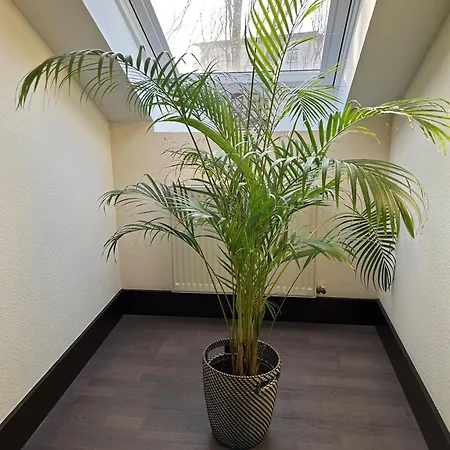 Frankfurt By Mz Hotelcollection Otel 3*